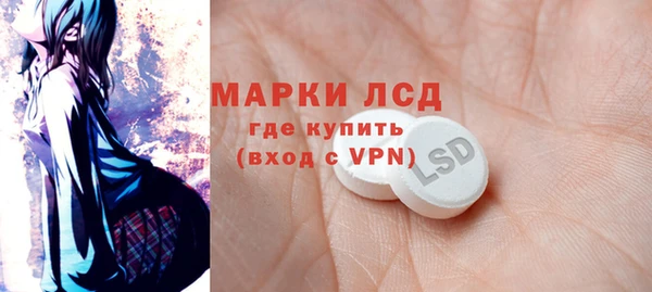 гашик Верея