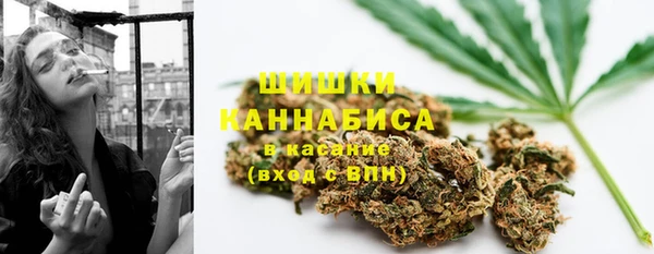 мдпв Верхний Тагил