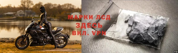 гашик Верея