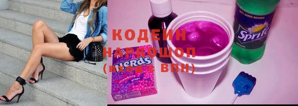 мдпв Верхний Тагил