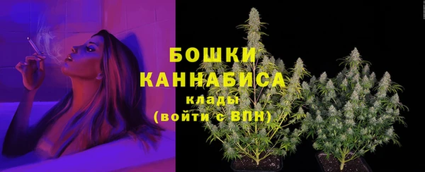 гашик Верея