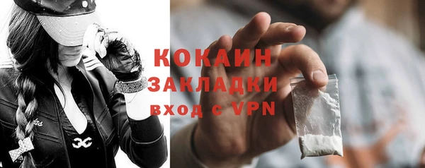 гашик Верея