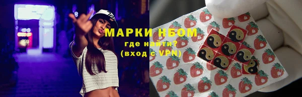 гашик Верея