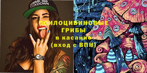 мдпв Верхний Тагил