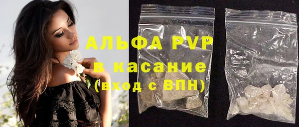 гашик Верея