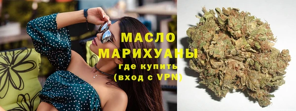 гашик Верея
