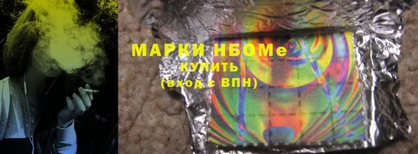 гашик Верея