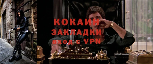 гашик Верея
