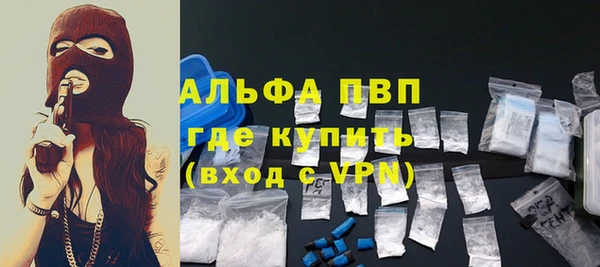 гашик Верея