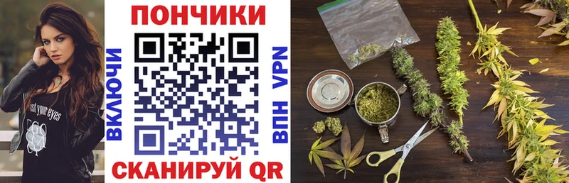 Шишки марихуана гибрид  Исилькуль 